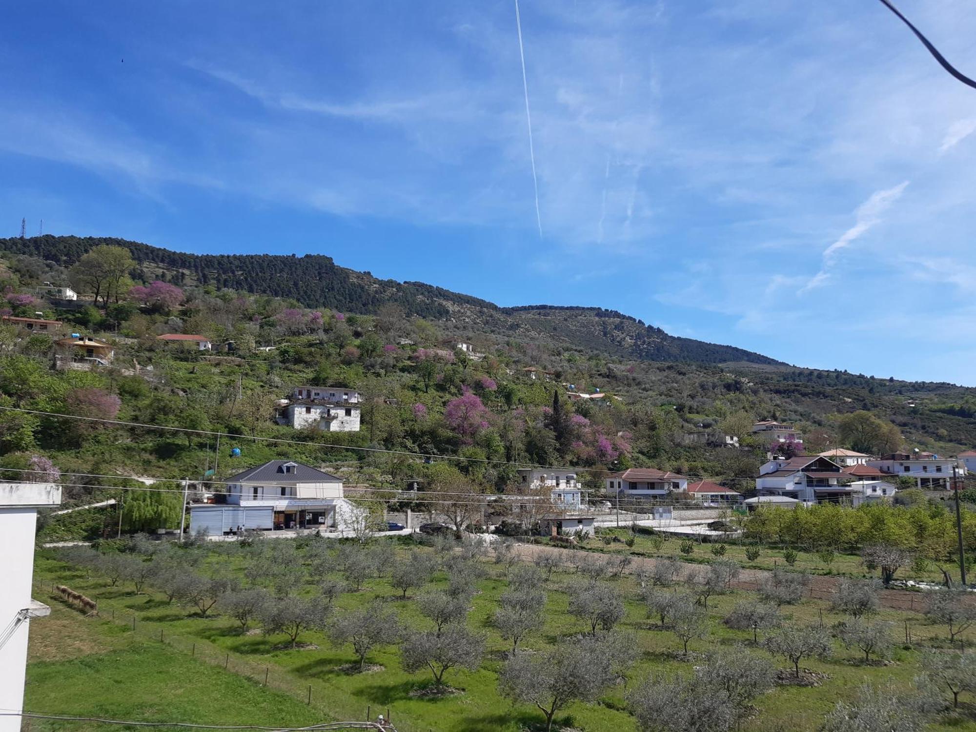 Villa Ari Берат Екстериор снимка
